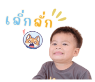 706003845