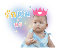 706003851