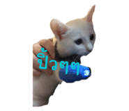 706010390