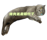 706026882