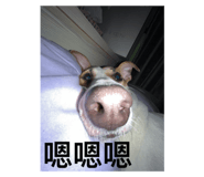 706039967