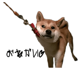 706040023