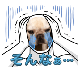 706061106
