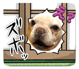 706061118