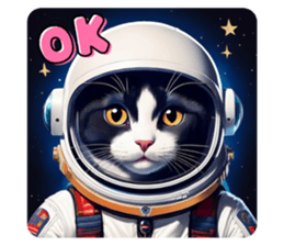706067129