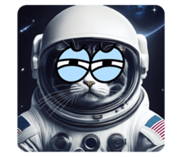 706067135