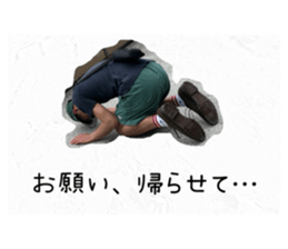 706070981