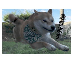 706080291