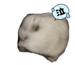 706084389