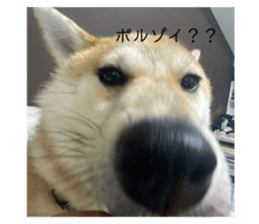 706086465