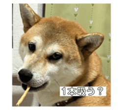 706086473