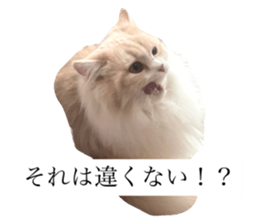 706090990