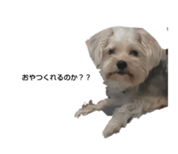 706093431