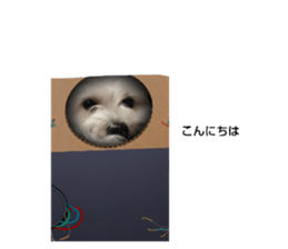 706093444