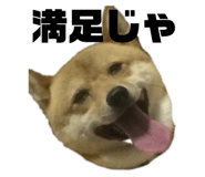 706113656