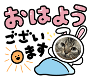 706114231