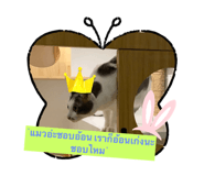 706122790