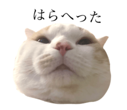 706124435