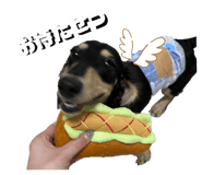 706136386