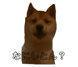 706136415