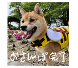 706136432