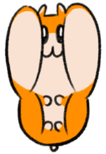 706171864