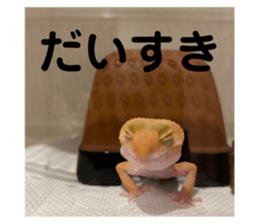 706182502
