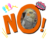 706201415