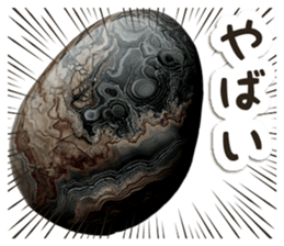 706203694