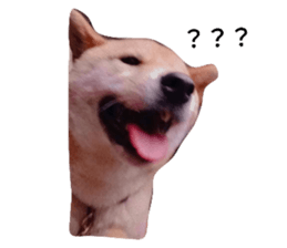 706221486