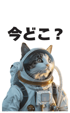 706244308