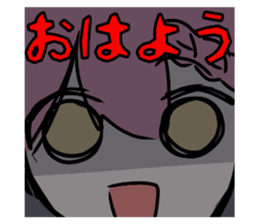 706249329