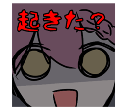 706249331