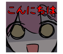 706249338
