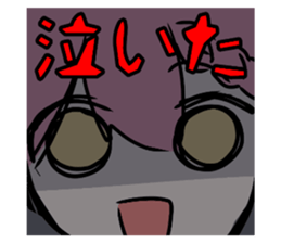 706249342