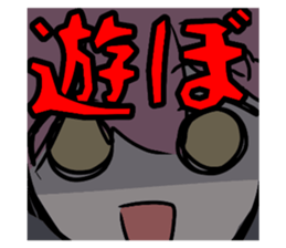 706249354