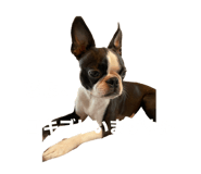 706286340