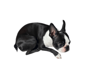 706286341