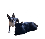 706286343