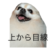 706293455
