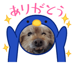 706293949