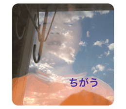 706305736