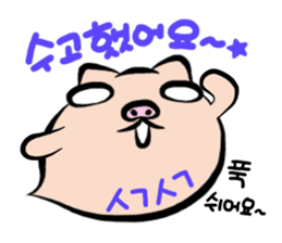 7064244