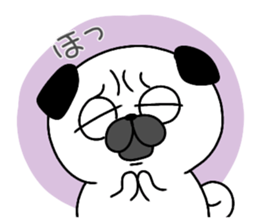 70643999