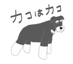 7066552