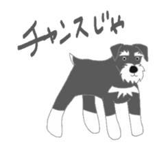 7066557