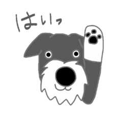 7066558