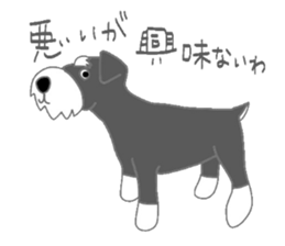 7066564