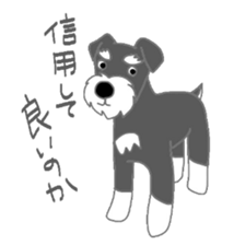 7066565