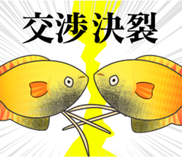 70715131